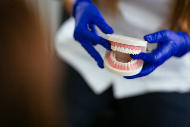 Why Choose Us for Your Dental Needs in Bodega Bay, CA