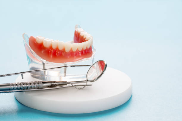  Bodega Bay, CA Holistic Dental Services Pros